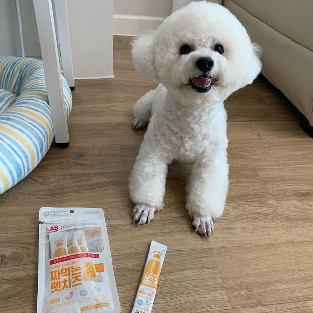 오천둥⚡️오하트💝 on Instagram: "#협찬 #제품제공 #어펫체험단 #어바웃펫 #건국유업 #짜먹는펫치즈 어바웃펫 체험단으로 당첨된! 짜먹는 펫치즈💛🧀 📌 높은 기호성 📌 락토페린 / 초유성