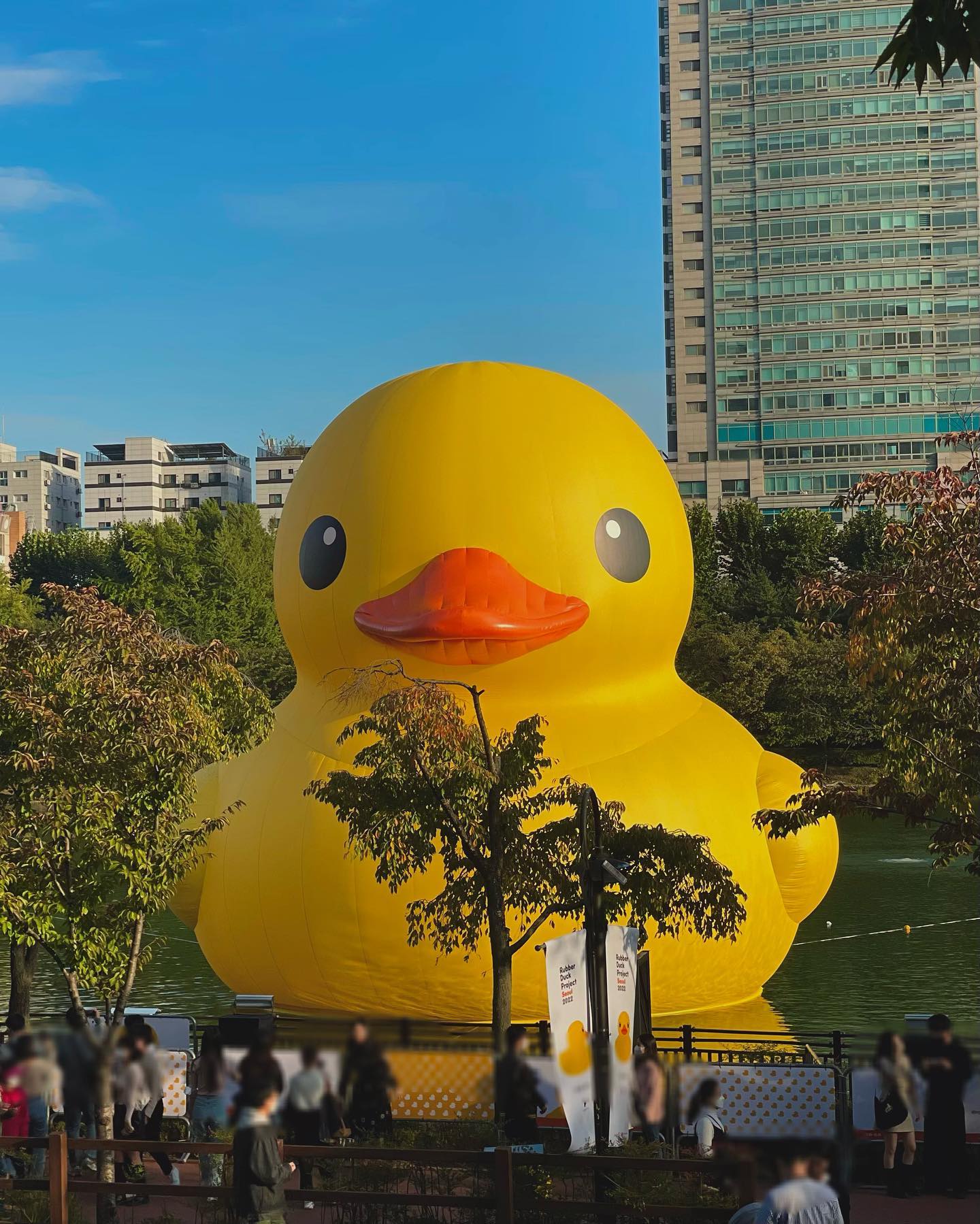 -
오랜만이야 러버덕🐥
몇 년 사이 조금 더 커졌네.. ?
성장기라 쑥쑥 자라나봐

근데 영상 왜케 깨지지 또륵,,
나 계단 오르고 내릴 때 너무 할모니
같다고ㅋㅋㅋ 관절이 곯은 나…

.
.
.

#러버덕힐링