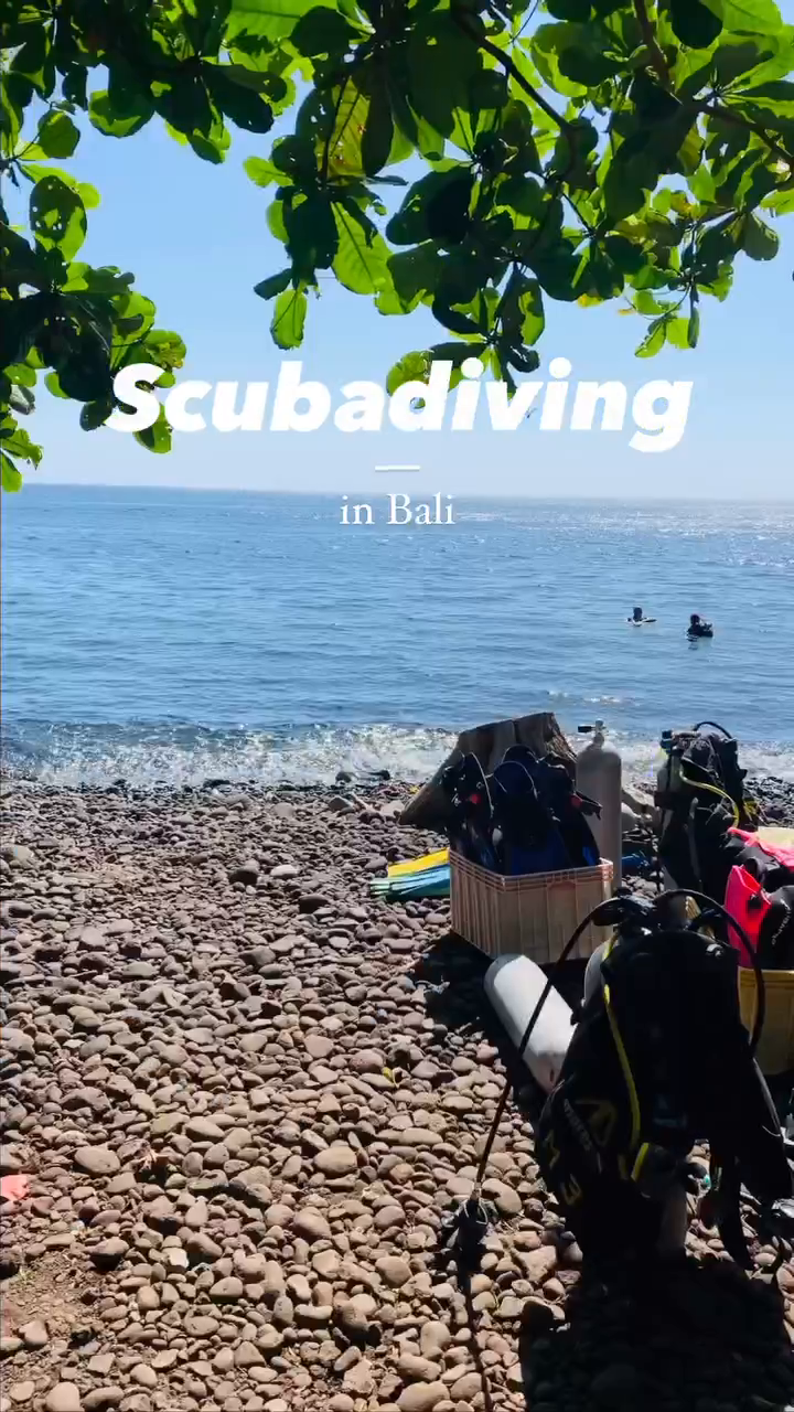 발리에서 스쿠버다이빙하기🫶🏽

#발리 #스쿠버다이빙 #다이버 #세계여행 #balibalitrip #scubadiving #sbuba #diver #diving #worldtravel #underwater #tulamben #amed