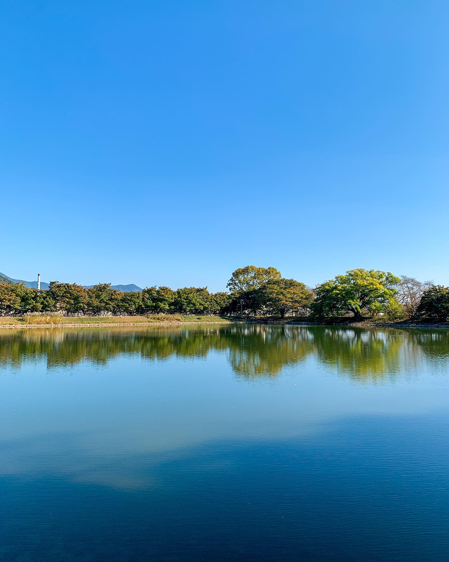 주말에 다녀왔던 진해 #내수면환경생태공원
좀 더 추워져서 단풍 지면 다시 가봐야지🍂🍃

.