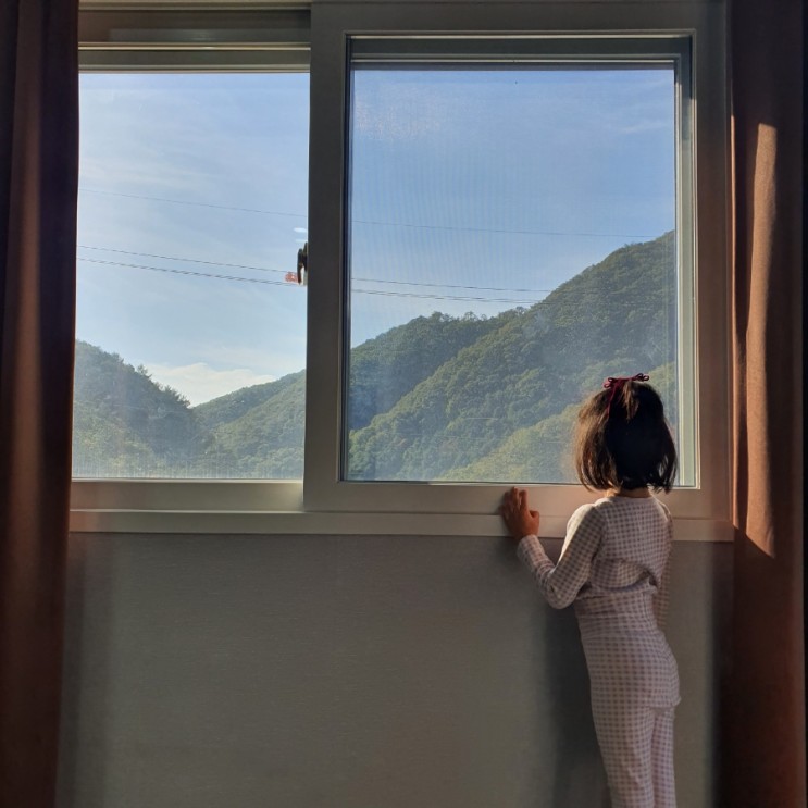 양평 서종면 펜션 : 산속에서 힐링하기 좋은 초록밤펜션 🏡