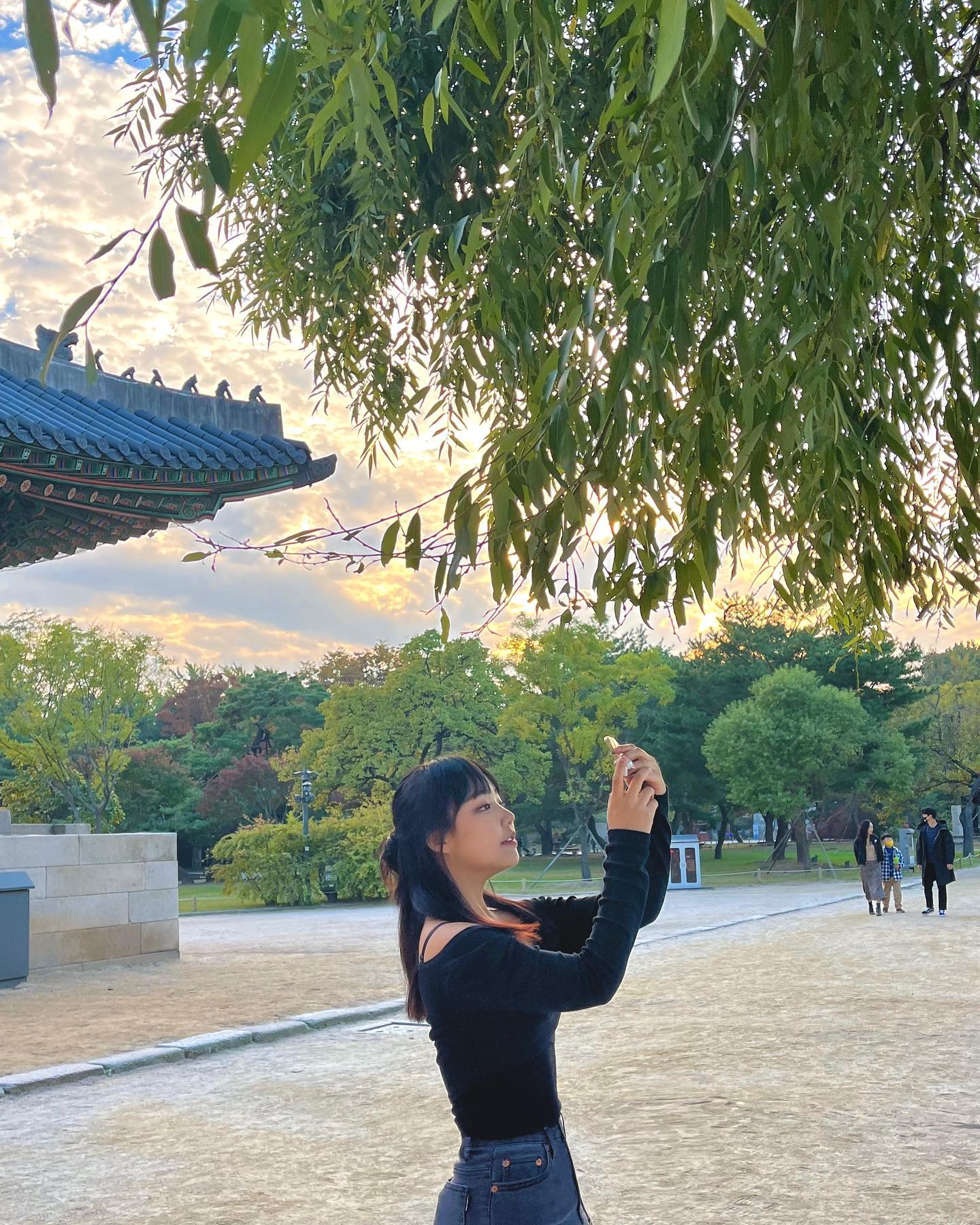 콘텐츠