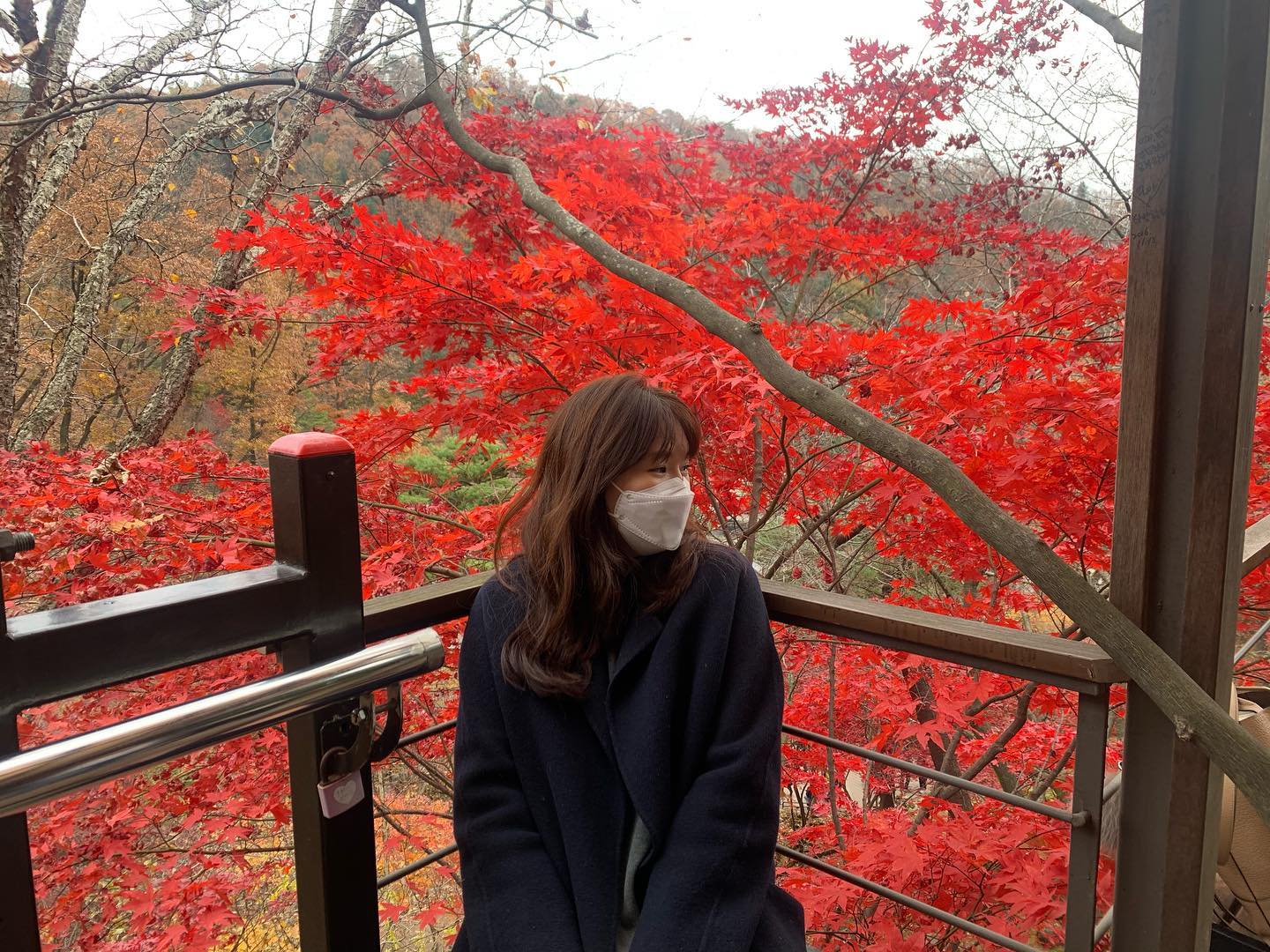 여러장의 하루☺️💕
#단풍 아 올해도 반가워🍂🍃

#화담숲
경기 광주시 도척면 도척윗로 278-1