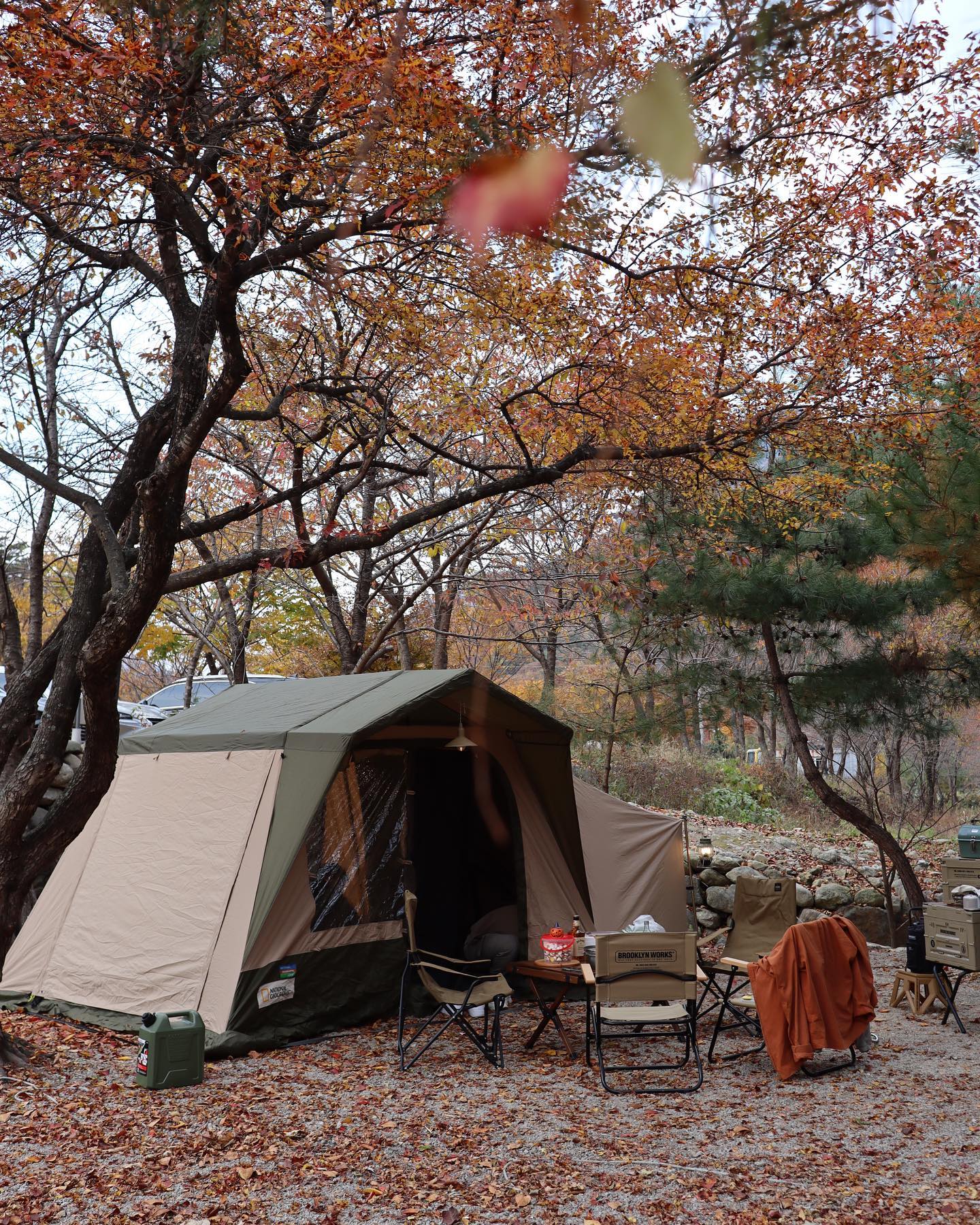 단풍캠 넘 좋네🍁🍂

10월 마지막주에 캠핑오니
캠퍼분들 할로윈에 진심이시닷🎃

분장하고 사탕 나눠주는 애기들
넘 귀여워서 집에서 만들어온
황치즈 스모어쿠키와 머랭쿠키도 나눠주고
꾸며놓은 텐트들 보며 할로윈 파티 기분 만끽 👻