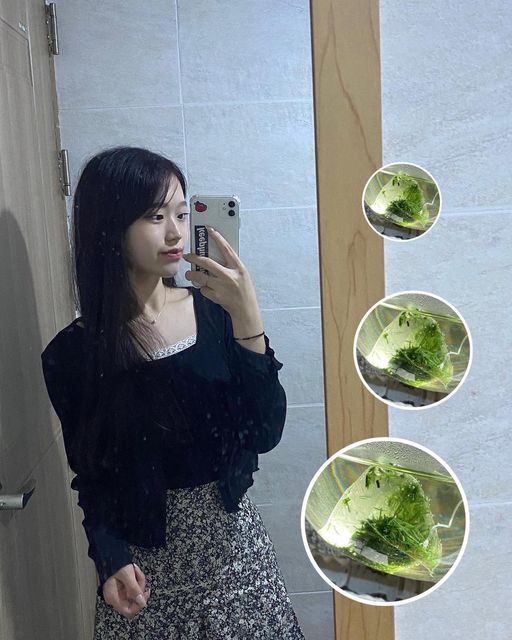 김선우 on Instagram: "#광고 🌱대한다업 새싹보리차 21T 🌱새싹보리차 3월 초 수확한 흑다향종자 보리순을 65년 제다 기술 그대로 찌고 덖은 새싹보리차🤍 카페인 걱정 없이 어린아