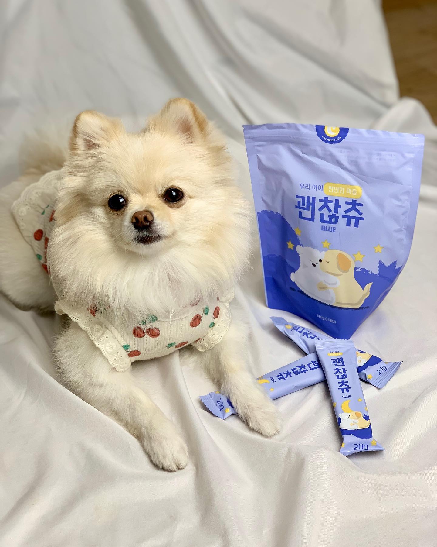 #협찬 #루니펫 에서 나온 강아지 멍건강에 좋은 성분만 쏙쏙 담은 #괜찮츄 블루를 보리가 먹어봤어요😝

💙 괜찮츄 블루는 가수분해 오리고기 포함, L-테아닌, 블루베리, GABA, 다시마 추출물이 함유되어 지방흡수 방지, #저알러지간식 , 피로회복에 도움, #기호성높은간식 
💚 말랑말랑한 식감으로 어린 강아지와 노령견들 모두 급여 가능
❤️3가지 종류(레드, 블루, 그린)로 아이에게 맞는 간식 선택이 가능

엄청 부드러운 제형이라 한개씩 똑! 뜯어 나눠서 급여할 수 있어 간편하고 편리했어요! 괜찮츄 블루는 심신안정에 도움을 줄 수 있는 성분이 포함되어있어 가~끔 하울링 보리에게 #강아지분리불안간식 으로 좋을 거 같아요☺️ 이외에도 활력이나 다이어트에 고민인 강쥐들에게도 도움이 되는 간식이니 강추한다멍👏

괜찮츄로 매일매일 건강한 간식 먹어보자🐶
구매는👉 runiepet 
.
.
.
.
.
#기능성간식 #저알러지간식추천 #심신안정사료