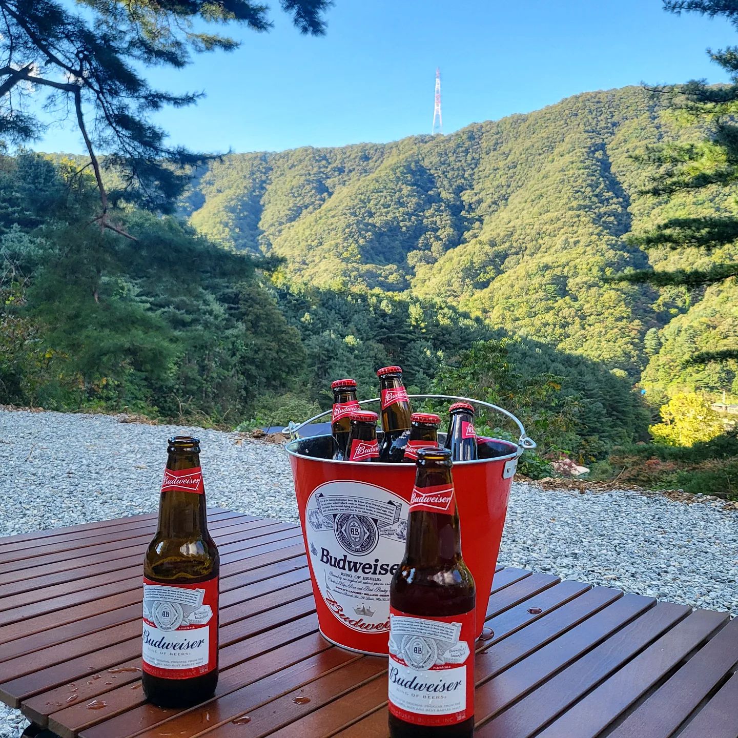 텐트 피칭하고 마시는 시원한 버드와이저는 못참즤 🍺 🍻 🏕 
추워지는 날씨에 보송한 털이 덮여있는 크록스는 필수템🤍💜
.
.
.
.
#캠핑 #캠린이 #캠핑추천 #camping
#campinglife #버드와이저 #크록스 #캠퍼 #캠핑장