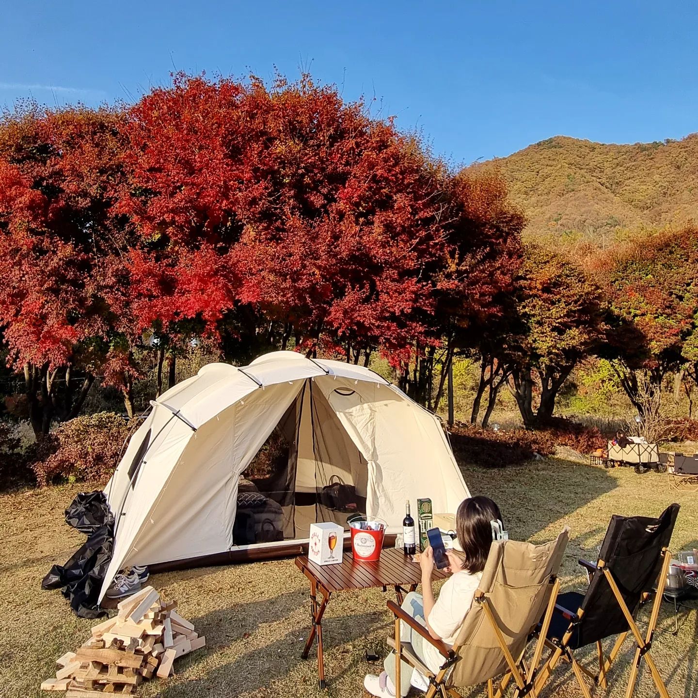 단풍의 끝판왕을 만끽하고 왔어요 🍁 
4계절 다 가보고싶은 캠핑장... 🏕
붉게물든 단풍에 노랗게물든 은행나무까지... 🍂
바람물면 살랑살랑 너무 예뻤음 🏕🍁
사이트도 넓고 어메이징한 산뷰 ⛰️
심지어 계곡까지있어 시냇물소리까지...사장님도 엄청 친절하셨어요👍
눈 올때 또 가야지💛
.
.
.
.
.
.
#캠핑 #캠핑추천 #캠린이 #제천 #camping  #캠핑스타그램 #캠핑장 #단풍명소 #단풍놀이 #캠핑칸 #캠퍼 #여행