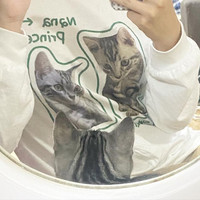 송나나 on Instagram: "왜 내가 여기 있냐옹🐾🤍
 
나나 티셔츠 완전 예쁘죵😚"