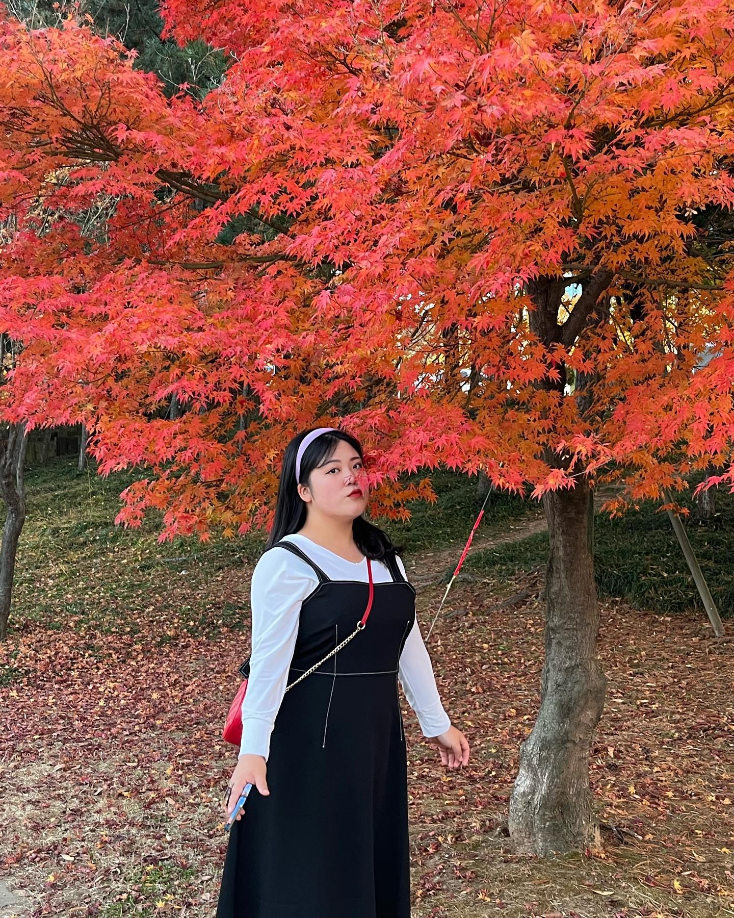 계획에 없던 단풍구경🍁