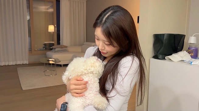 정화네 굴미랑 🐶🤍

ro.gooleum