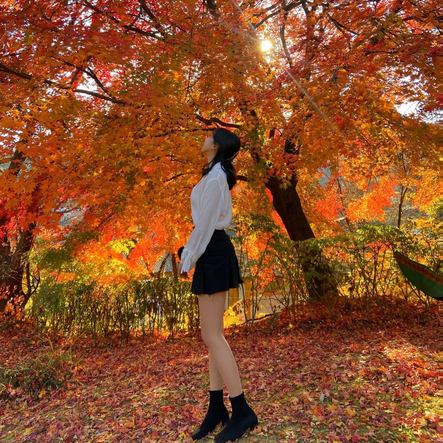 단풍놀이 막차탑승🍁🍂

.
.
.

#단풍놀이 #남한산성 #빨주노