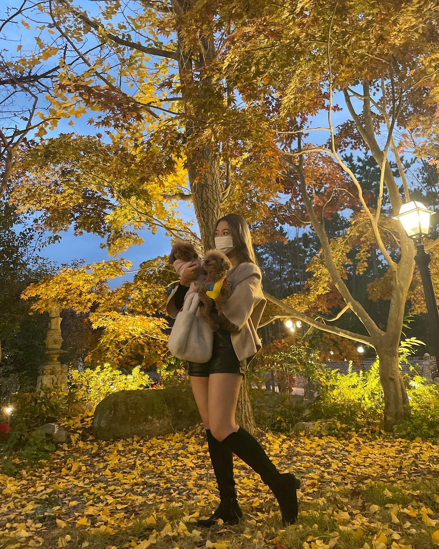 🍂