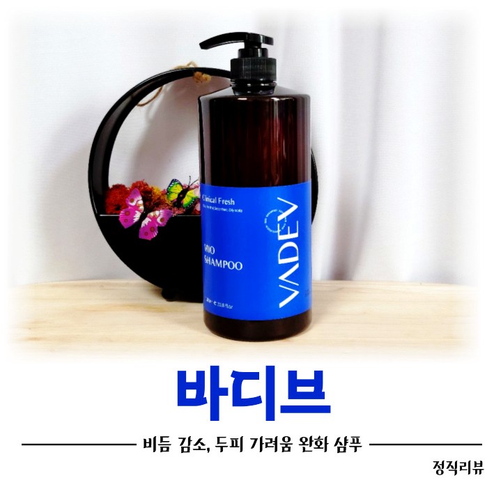가려움과 기름진 지성용 바디브 두피샴푸추천.