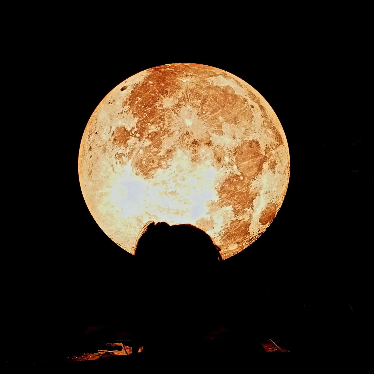나라고 믿고봐야 나인 사진