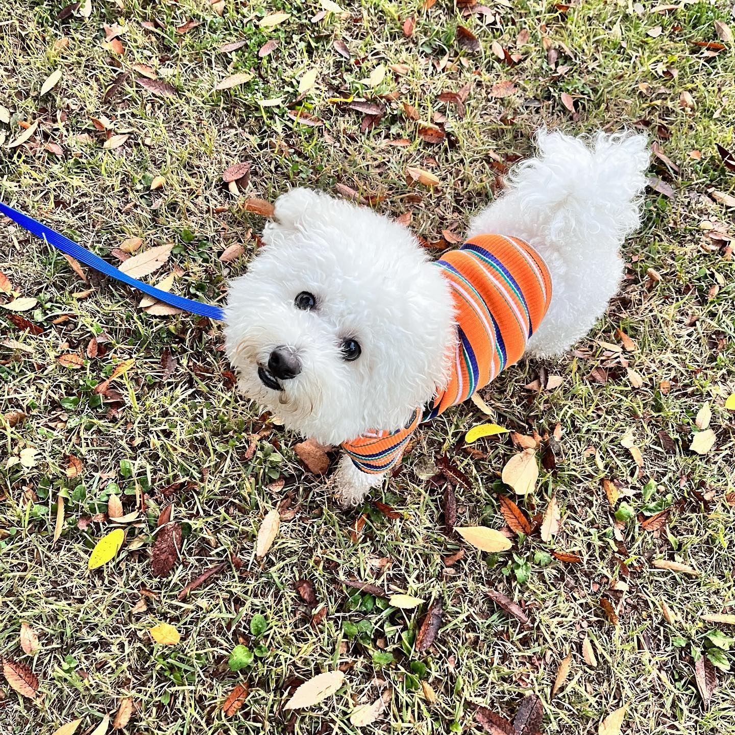 가을 남자 김봉봉🍂🍁