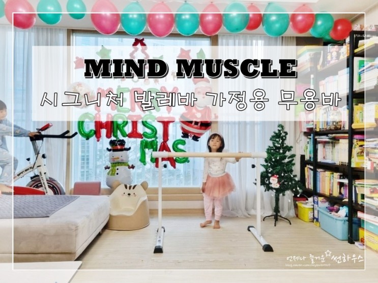 마인드머슬 시그니처 발레바 가정용 무용바