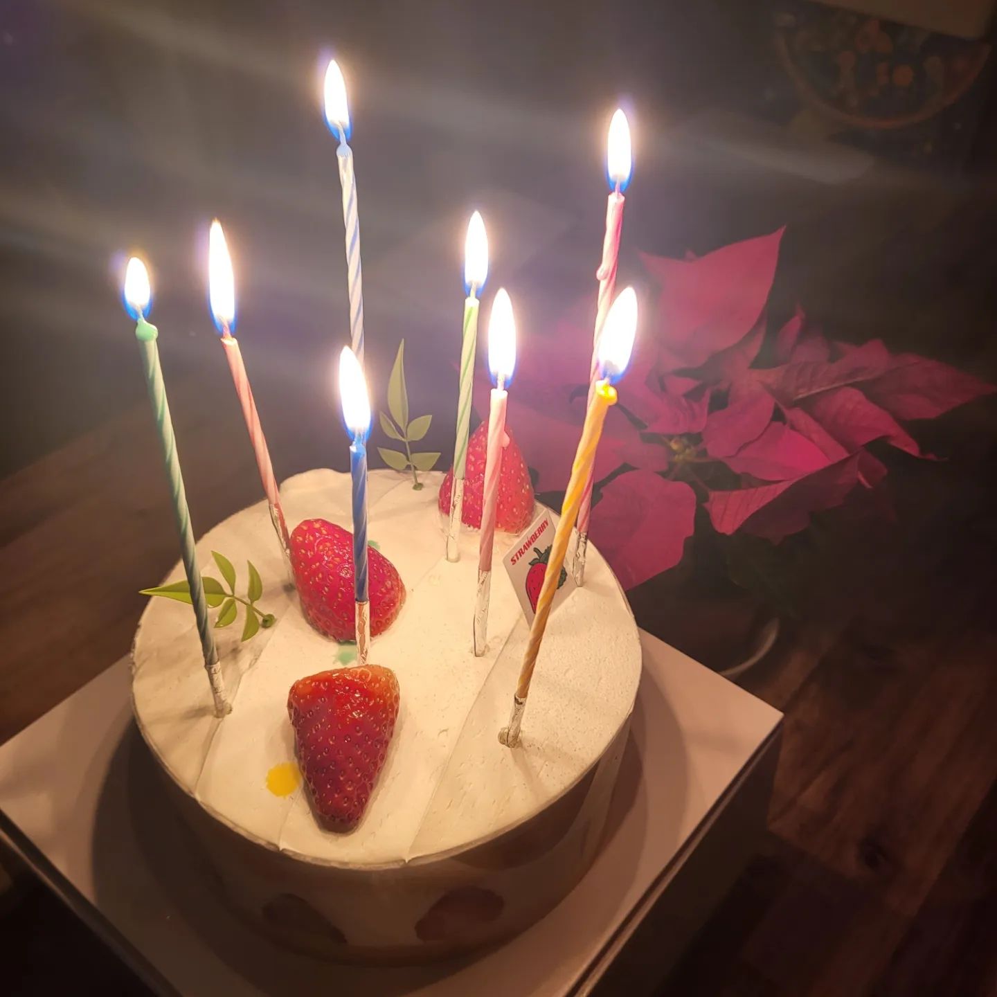 ♡ 선물♡

고마워요🎁 우리 범씨들
그리고 시하, 시온 ♡

시하♡ 카드 읽고 이모 감동했어 ✉️
이모 생각하며 고민했을 그 시간들이 느껴지더라 시하야 😍 넘 고맙고 감사해
그리고 시하에게 이모는 이런 모습이구나 느끼며 더 노력해야겠다 생각했고 요새 책 읽기에 좀 소홀했는데(자기계발서 읽고 있는데 잘 안읽혀서 말이야) 분발해야겠다고 다짐했어!!
시하가 권해준 취저 책도 한번 읽어볼께

시온♡ 편지만으로도 고마운데 간식까지 챙겨주고 감사해 그리고 시온 말대로 다음번엔 캠핑장서 만나자요 😘

지후♡ 엄마 필요한 틴트 고맙고 케이크도 땡큐땡큐
시후♡ 소설책이 읽고싶었는데 이겨울과 넘 찰떡인듯
여보♡ 넘 갖고 싶었는데 고마워 😛😘🥰😜😝

#케이크맛집 #파리바게트 
#크리스마스타일 #김금희#소설
#틴트 #wakemake
#달팽이식당 #오가와이토 #장편소설 
#dod #가마보코3m #탄색
#아들#친구한테#선물받는여자 
#❤️❤️❤️
#일상#기록
#일상스타스램 
#기록스타그램