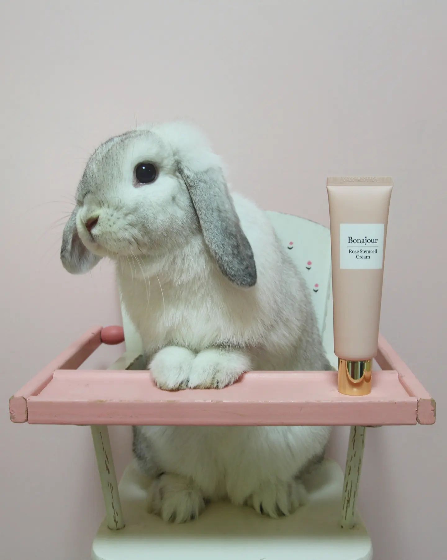 #협찬 bonajour_official
bunnykiss.kr 사랑스런 난향이의 친구들이 괴롭게 실험당하지 않도록 비건 화장품을 사용하기로 했어요☺️
국내최다 비건 인증 브랜드 #보나쥬르
신제품 로즈스템셀 크림💗

#토끼 #비건화장품 #반려토끼 #토끼키우기 #토끼집사 #토끼스타그램 #토스타그램