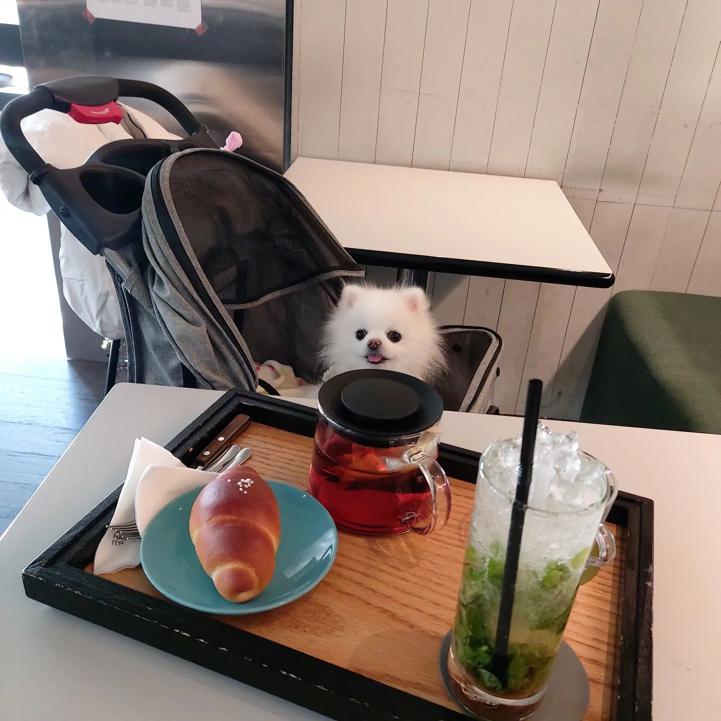 김솜을 웃게 만드는 장소
🥐☕️