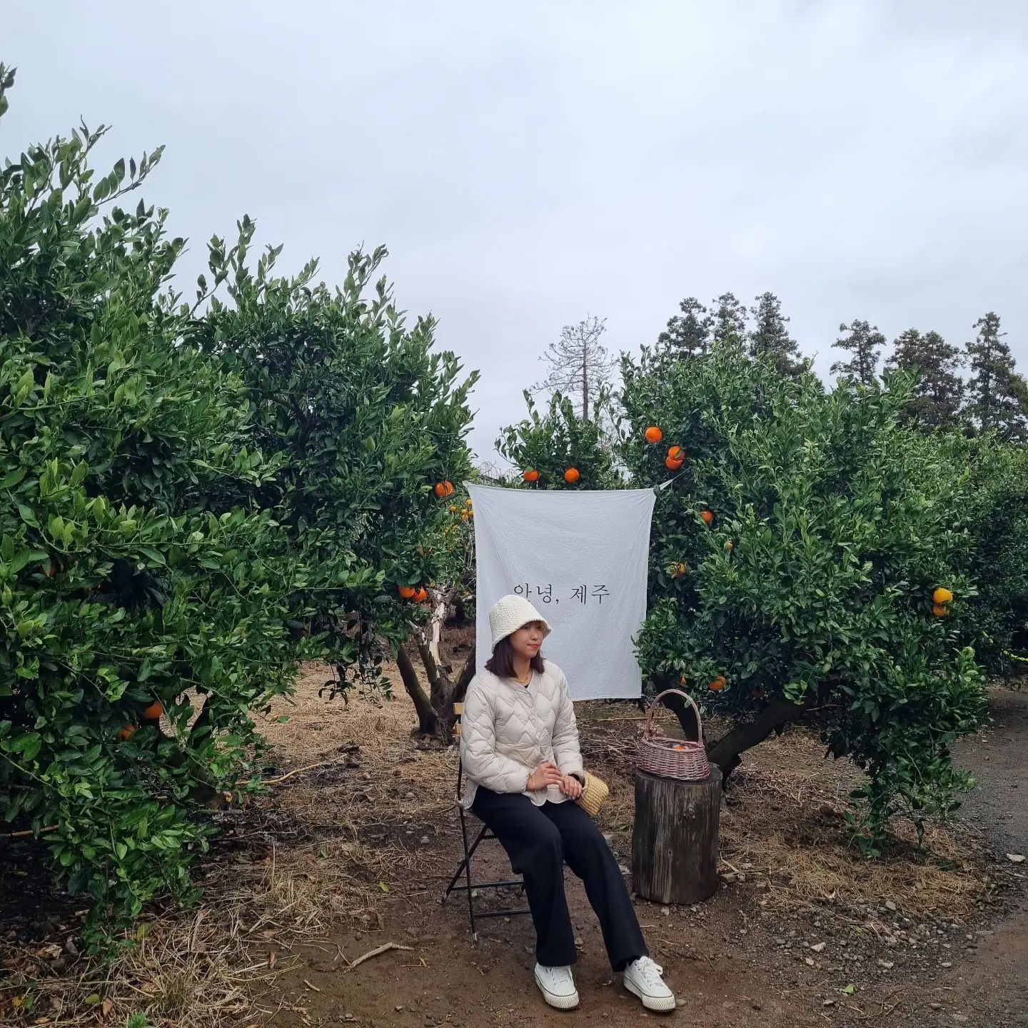 🍊귤따기체험🍊
따는건 오빠가 먹는건 내가🤭