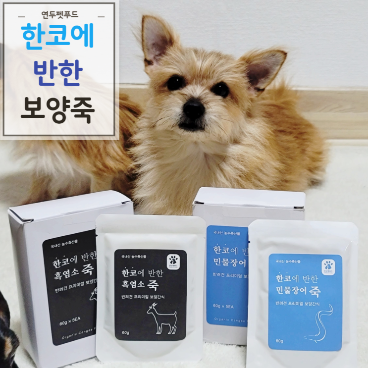 강아지보양식 한코에 반한 죽 민물장어&흑염소 영양소가 가득!