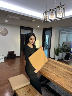 [썬샤인] 비행기 1등석 에어러버 방석