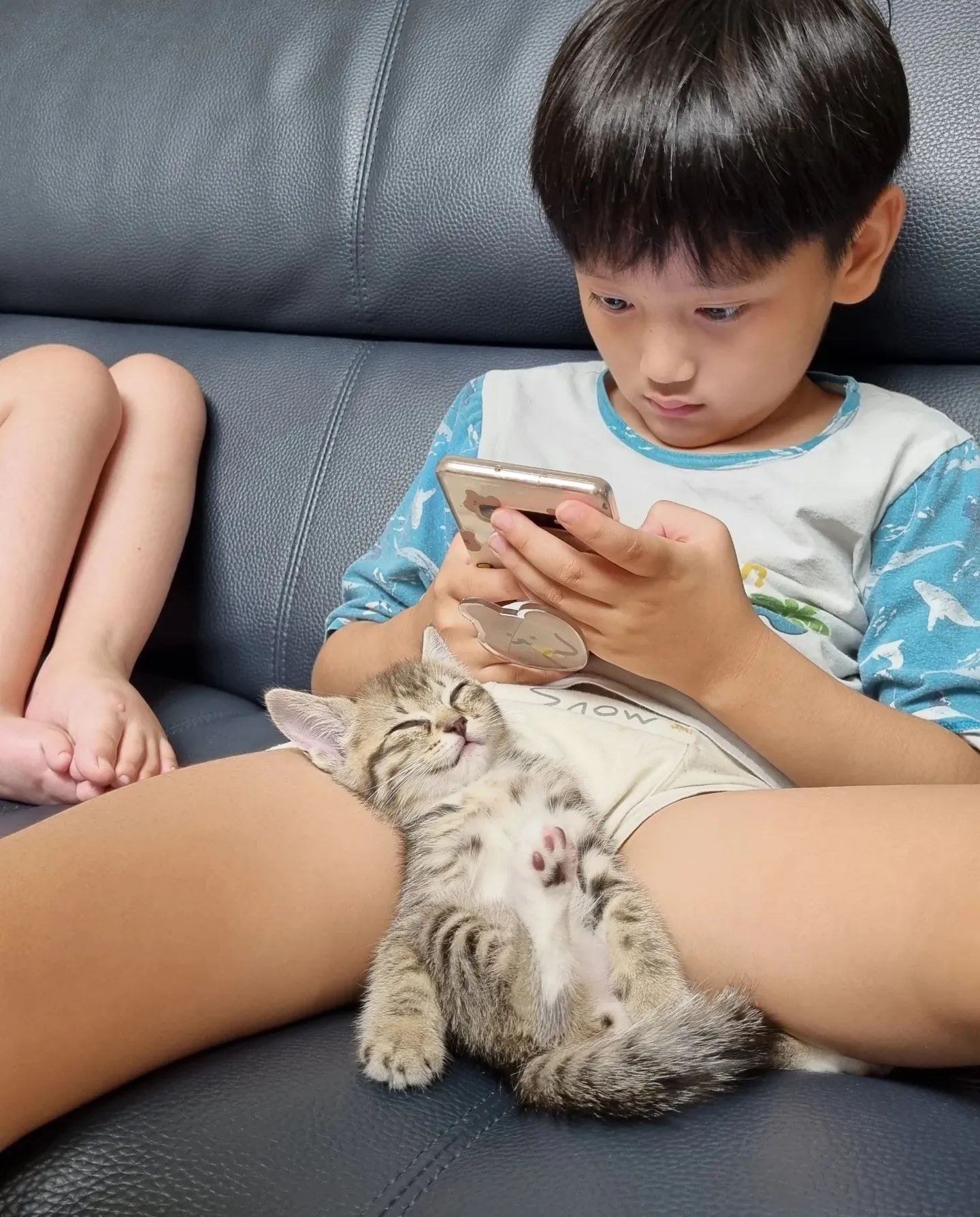 🤍팬티바람주의🤍
아깽이 시절 앤유
떡실신 앤유

ㅋㅋㅋㅋ
시끄러워도 흔들어 깨워도
엄청 자대기만 했던 생후 3개월 시절
돌아가 앤유야😽