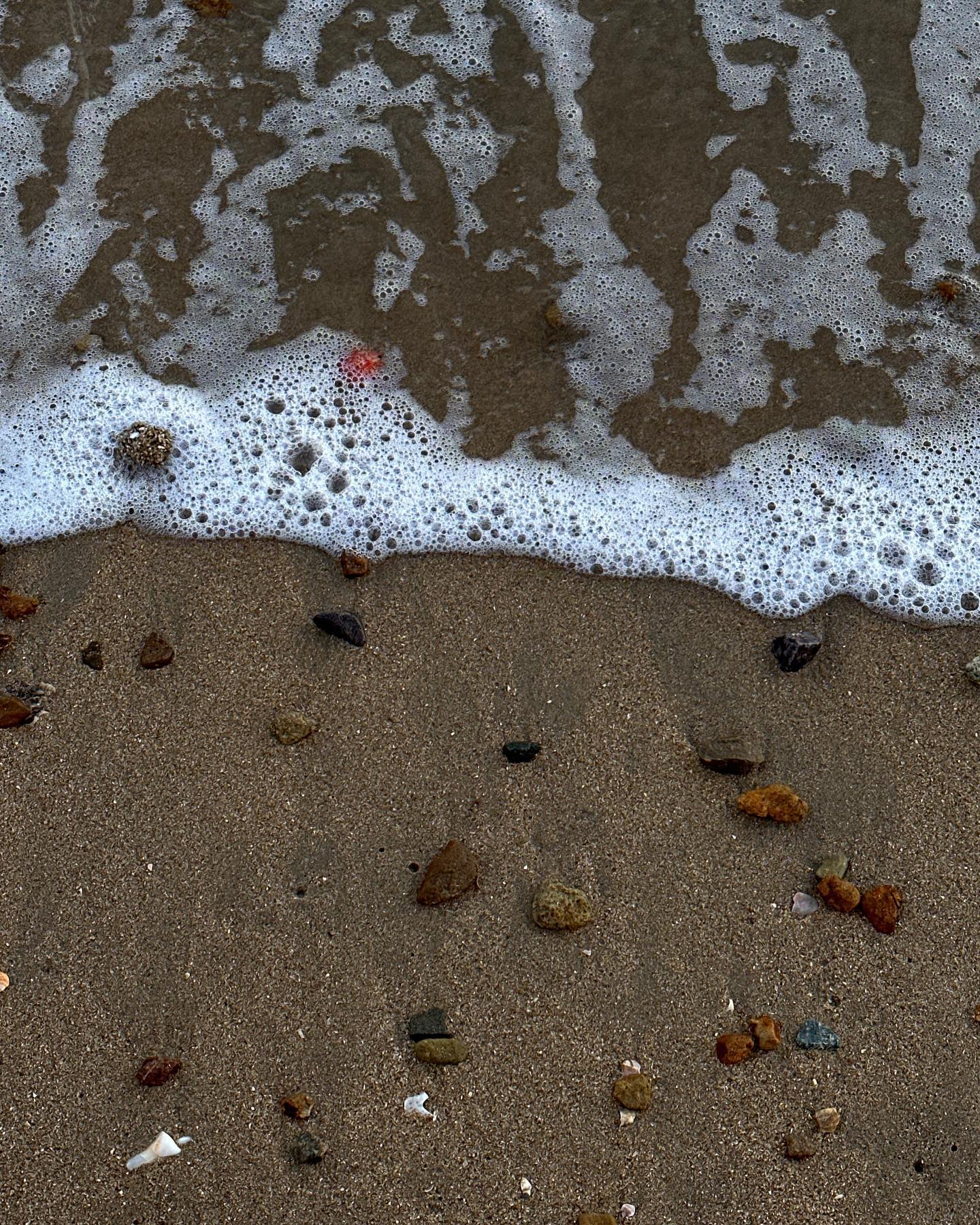 광앤리🌊