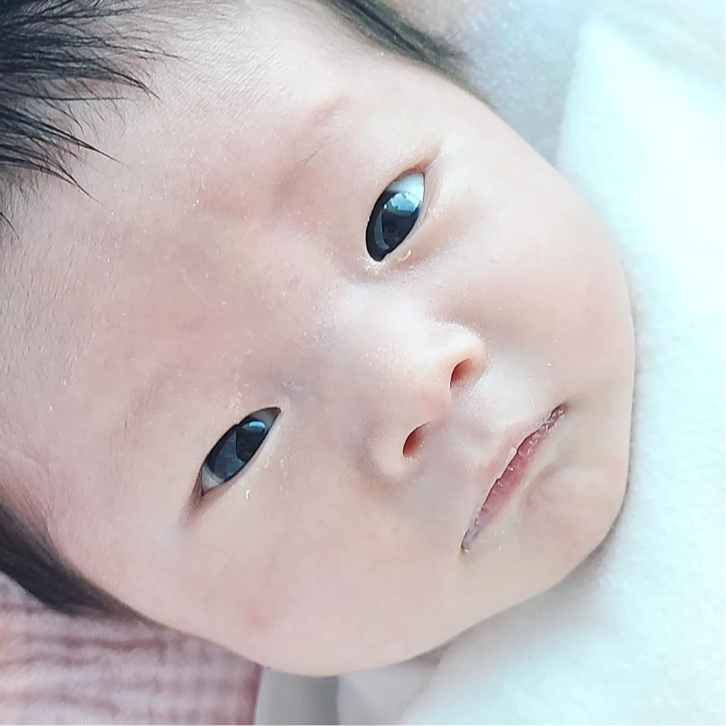 채으니 인생샷도 엄마가찍어줄게
볼때기가 아주 퐁실퐁실하네

#잘크고있어요
#이제엄마도잘안아요
#근데기저귀샜음미안
