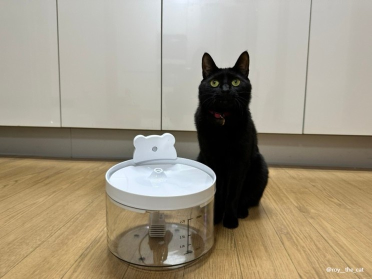 고양이 정수기 급수기 음수대 보드미펫 수반 대신 음수량 업