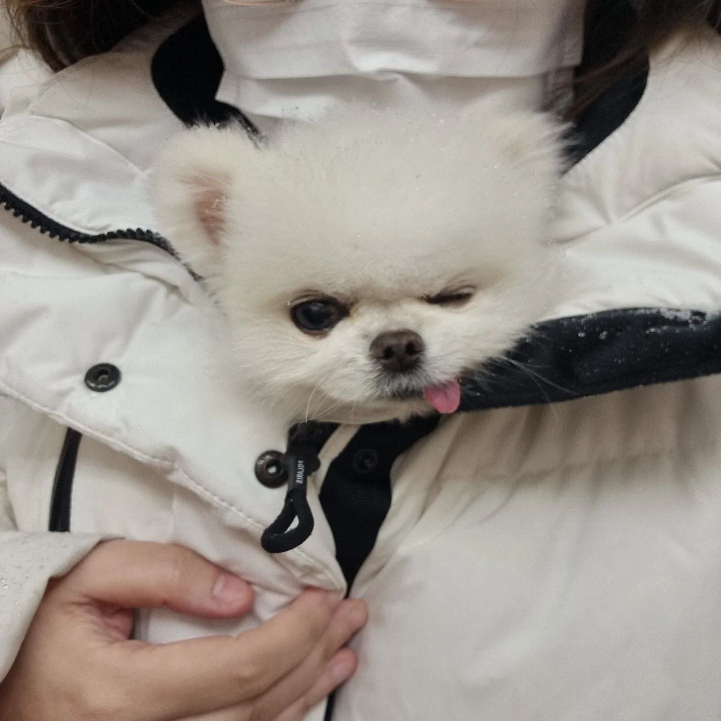 윙크
넘 추워서 엄마품에 쏘옥♥️