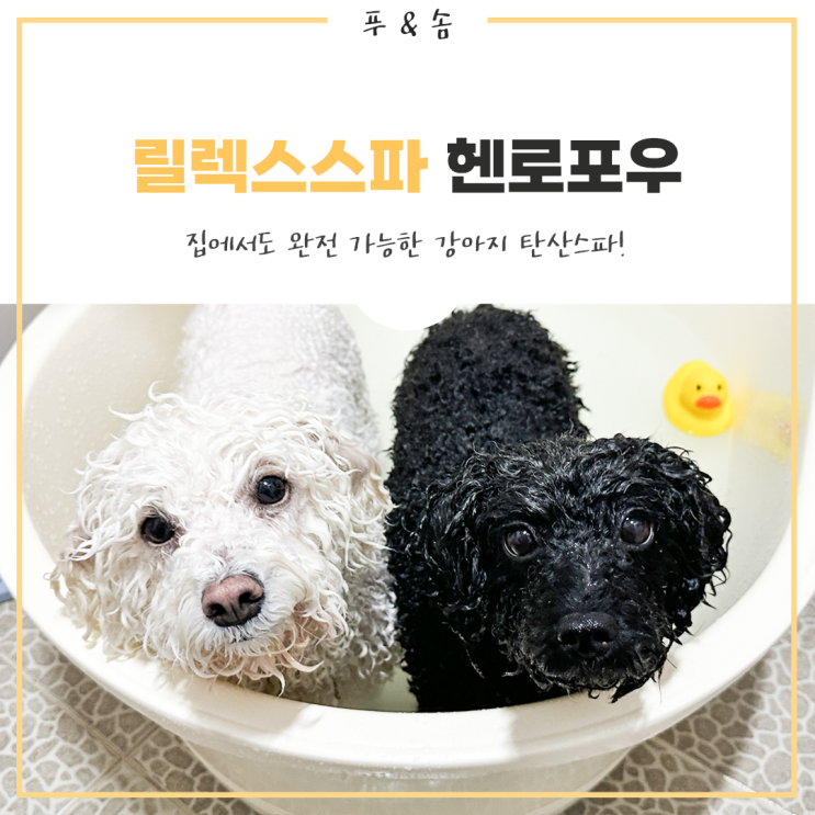 강아지입욕제 추천 집에서도 즐기는 헨로포우 릴렉스스파!