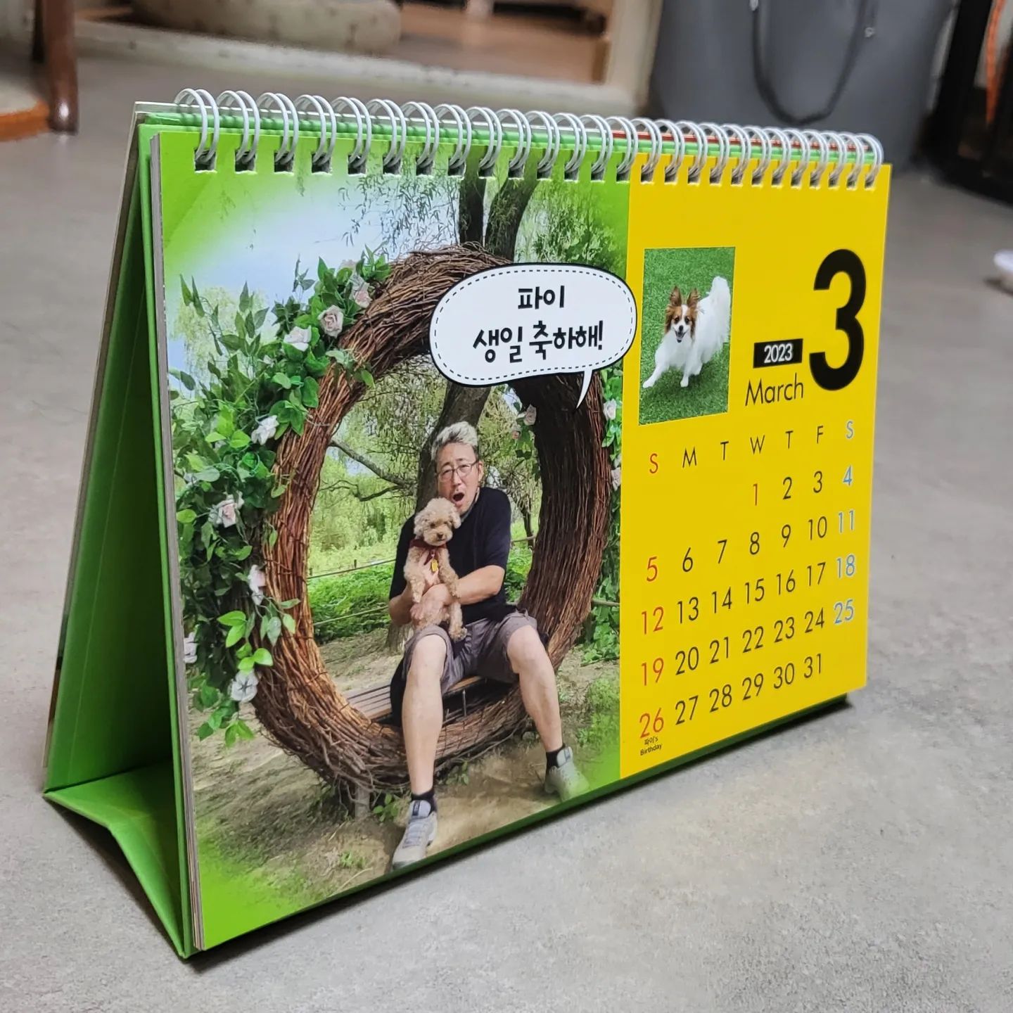 #맨날3월이었으면좋겠당
#술그리다 사감댕댕이 쭈리 생일파티 기념으로
사장님 내외가 만드신 달력
친구 댕댕이들 생일이 이렇게 써있어요ㅠㅠㅠㅠㅠ🥹
sobeit47 감사합니다!!

#사장님최고 #언니도최고 #쭈리짱최고
#파이 #빠삐용 #파피용 #댕댕친구 #술그리다 #전통주 #주당의성지