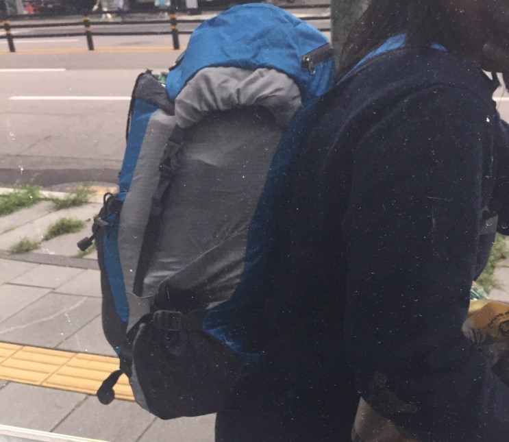 [와일드혼초경량여행용백팩] 아마존닷컴에서 대박난,났다는 백팩! 해외여행갈때 짱이다!!