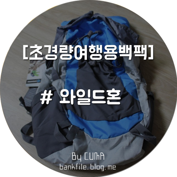 아마존닷컴에서 대박난 초경량여행용백팩 와일드혼 여행용백팩