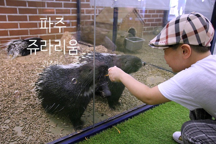 파주 쥬라리움::아이와 함께 이색동물들과 즐거운 추억 만들기