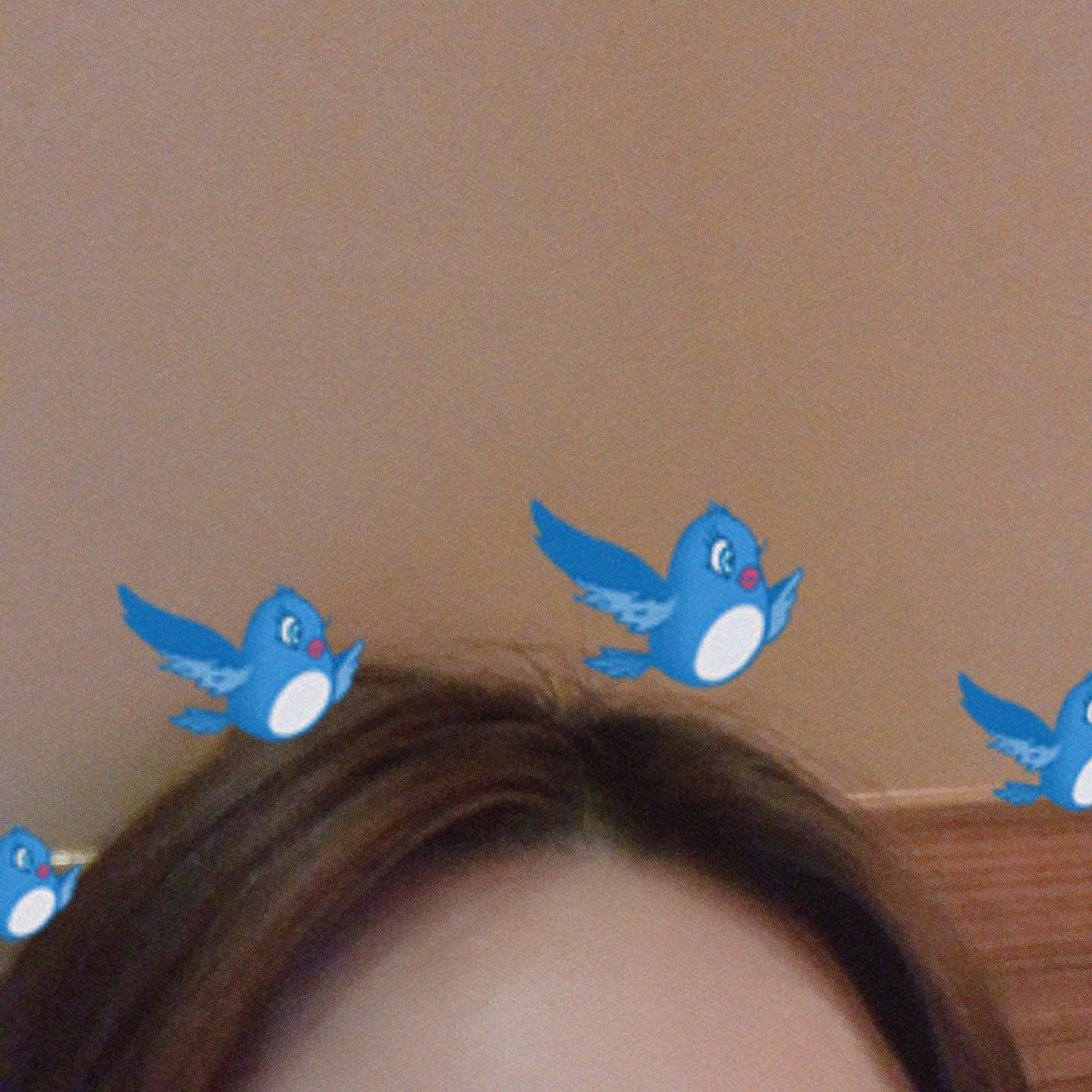삐약 삐약