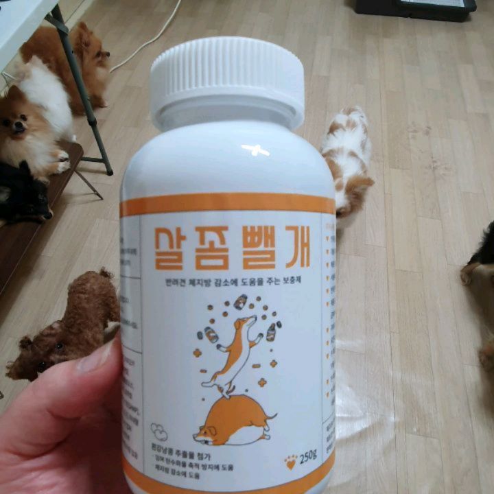 hanalove-siggi1004 on Instagram: “#사사견견 #살좀뺄개 #반려견다이어트 #반려견영양제 #애견영양제 #강아지영양제 #리뷰쉐어 #ad  #반려견 #강아지 #전북 #전주 #개어멍 #다둥이네 #doglover #dog #pet #dogstagram #puppystagram…”