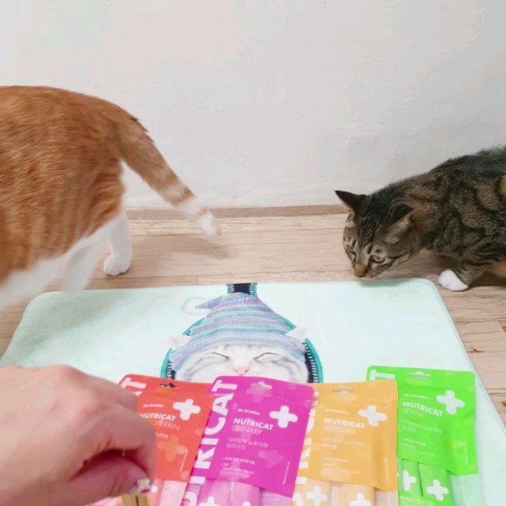 최유진 CHOI YOO JIN 💟 on Instagram: “⠀ 닥터맘마의 고양이 츄르영양제 뉴트리캣 4종 🧡💗💛💚 ⠀ 우리레오가 환장하고 좋아하는 간식 츄르 🐾 그냥 간식이 아닌 건강까지 챙겨줄 수 있는