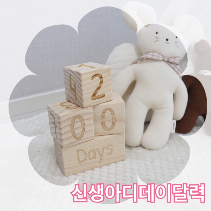 아기촬영소품 으로 좋은 신생아디데이달력 <루버킨>