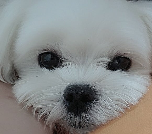 곧 컴백할게요💕