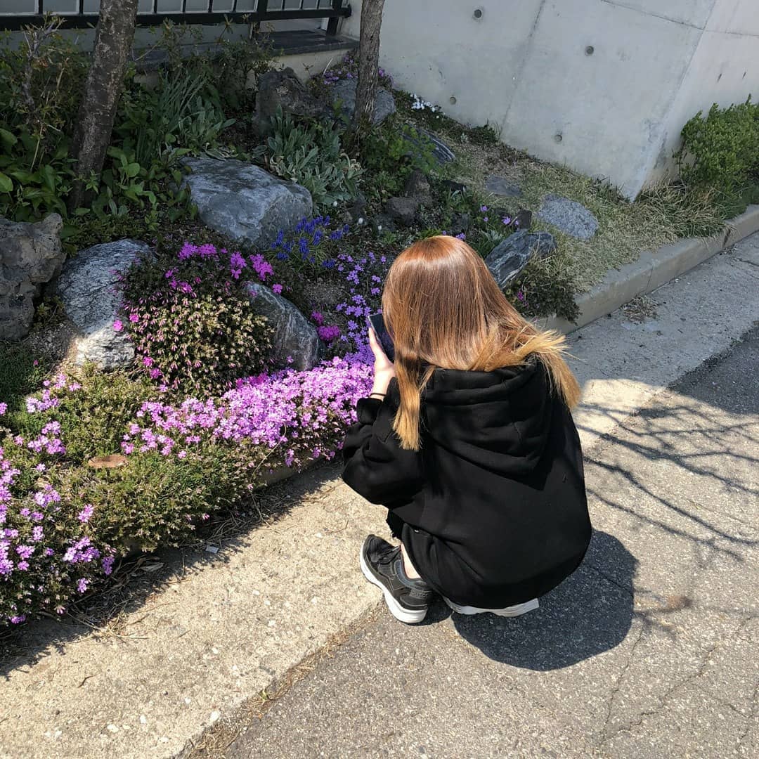 콘텐츠