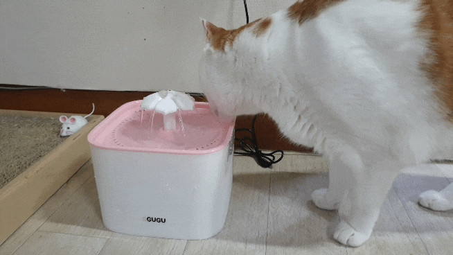 고양이 정수기 오구구 (OGUGU) 필터도 저렴해