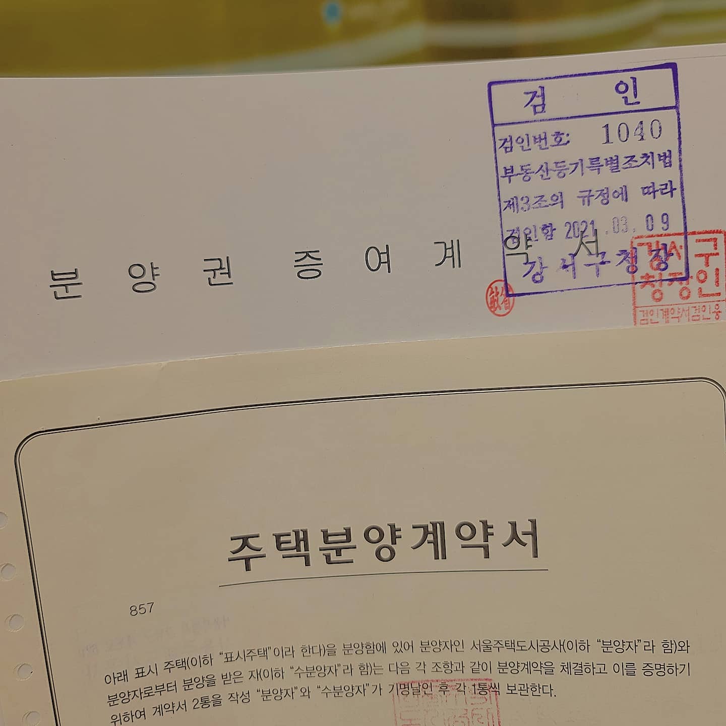 #오늘 3월9일 나의 생일날.
조집사의 선물은 집이었다🎁

조집사 명의로 당첨된 아파트의 절반을 거침없이 내어준 통 큰 남자. 그것도 생일날에🎀

어차피 함께 살 집이라 공동 명의에 별로 큰 생각이 없었는데 막상 절반을 받으니 감회가 새롭구나ㅎㅎ

아무튼 대박이야 내 남편♥️

선물 때문이 아니라 진심 #결혼 하나는 잘한듯😊👍🏻

#마곡9단지 #입주한달전 #생일선물
#고마워요 #내사랑 #사랑해 
.
.
.
.
.
.
.
#일상스타그램 #행복 #팔로미 #일상그램 #데일리그램 #일상기록 #인스타데일리 #소통스타그램 #일상소통 #럽스타그램❤️ #신혼부부 #직장인 #럽스타  #사랑해❤️ #연상연하커플 #부부 #가족 #부부스타그램 #가족스타그램 #선물 #홈스타그램 #집스타그램