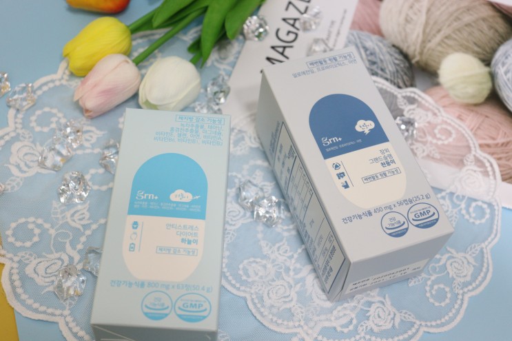 40대 다이어트 지알엔 GRN하늘이 GRN천둥이 도움받아 체지방 감량 도전!
