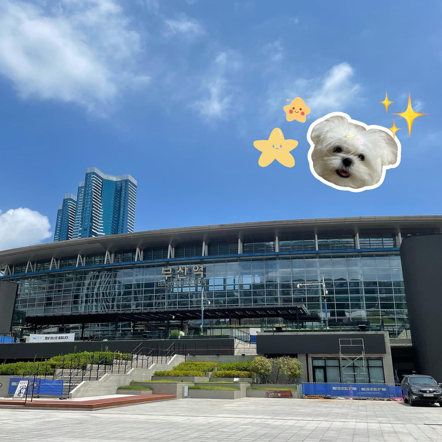 앙꼬x이모들의 4박5일 여정⛺️🐶✨
-
-
#댕댕이 #개육아 #부산 #울산 #소통 #데일리 #평일 #일상 #팔로우 #여행 #추억팔이 #일상기록 #집들이 #휴가 #먹방 #오늘뭐먹지 #daily #jmt #trip #tbt #fbf #igers #tflers #foodie #foodgasm #instagood #photooftheday