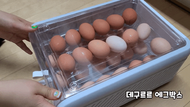 계란은 한바구니에 담지말라! 에그트레이 계란보관함에 담으시라~!