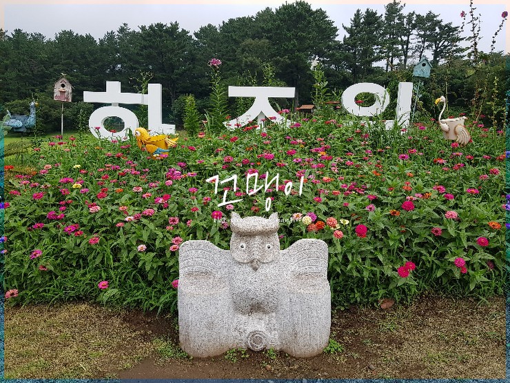 제주동물원 화조원 애월가볼만한곳