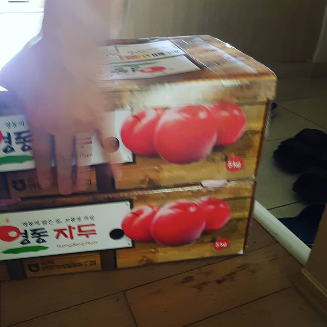 영동 자두 ~~~ #자두